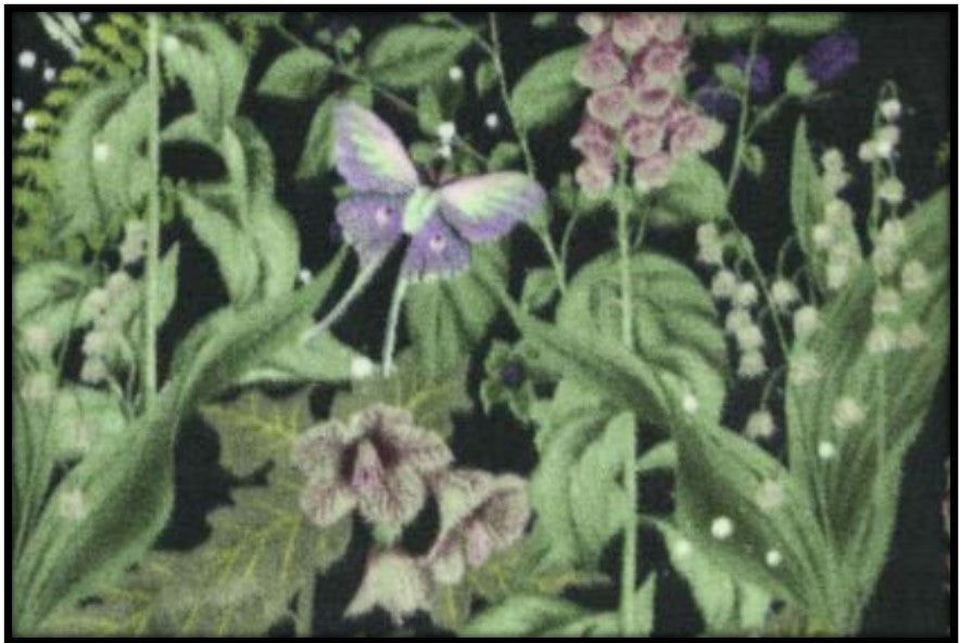 LUNAR MOTHS ON BLACK (Plush)