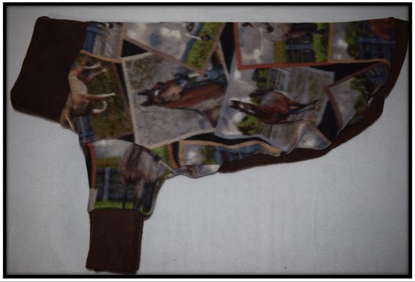 Pullover - HORSE PORTRAITS (Blizzard)