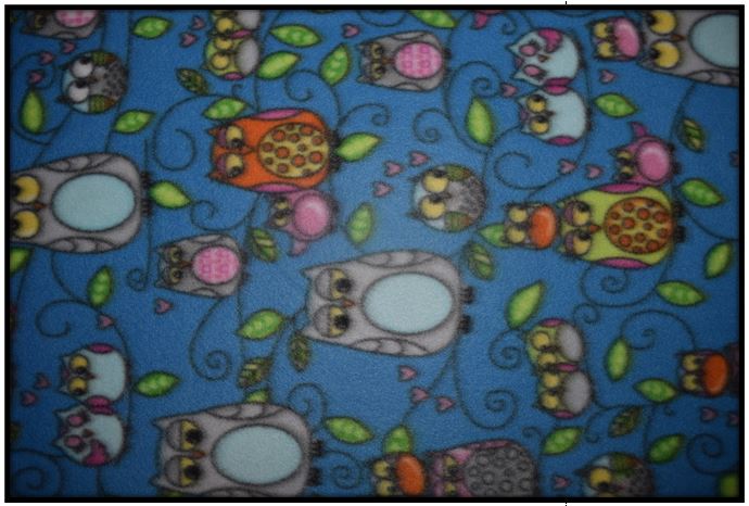 VINE OWLS BLUE (Custom Blizzard - 2 sleeves)