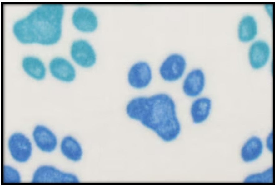 GREEN & BLUE PAW PRINTS (Custom Plush)