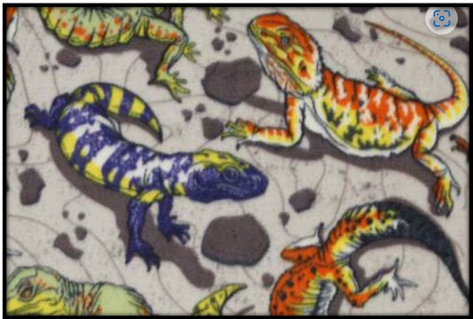 REPTILES & ROCKS ON GRAY (Plush)